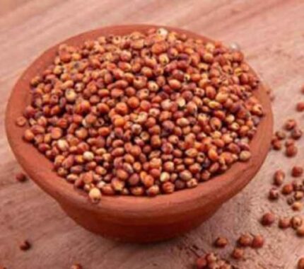 சிவப்பு சோளம் (Red corn)