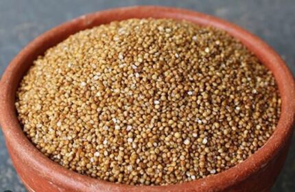 திணை அரிசி (Foxtail millet Rice)