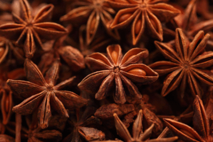 நட்சத்திர சோம்பு / Star anise
